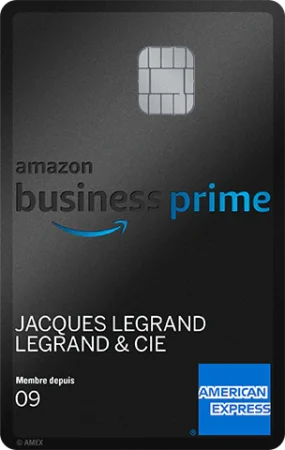amazon-business-prime-vertical-285×450-1