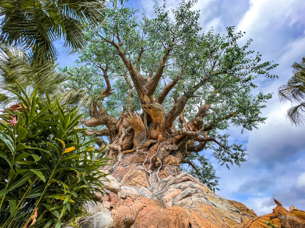 Parc Disney Orlando : Animal Kingdom