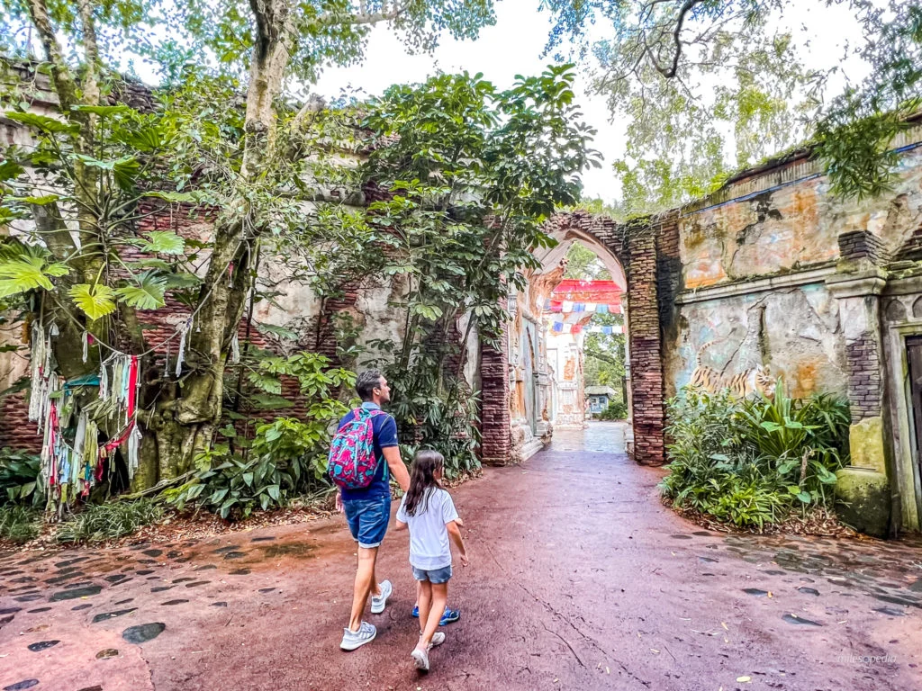 Parc Disney Orlando : Animal Kingdom
