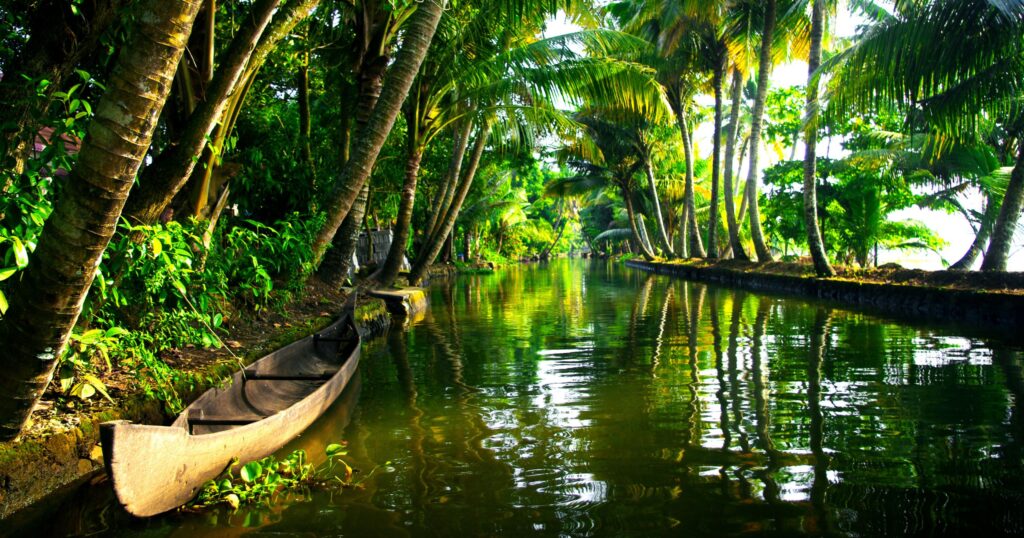 Backwaters à Kerala, en Inde