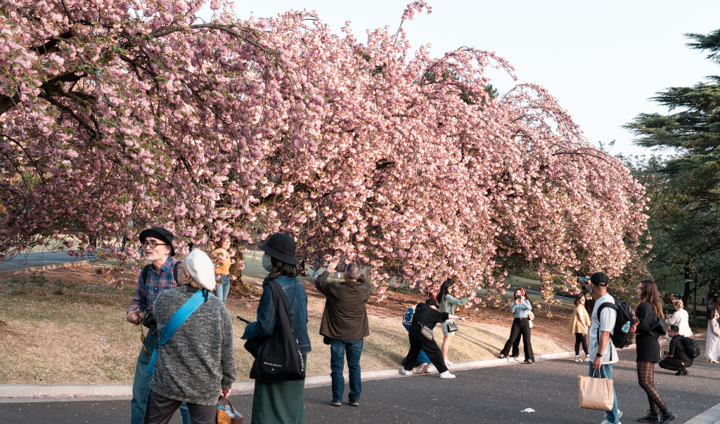 Shinjuku Gyoen