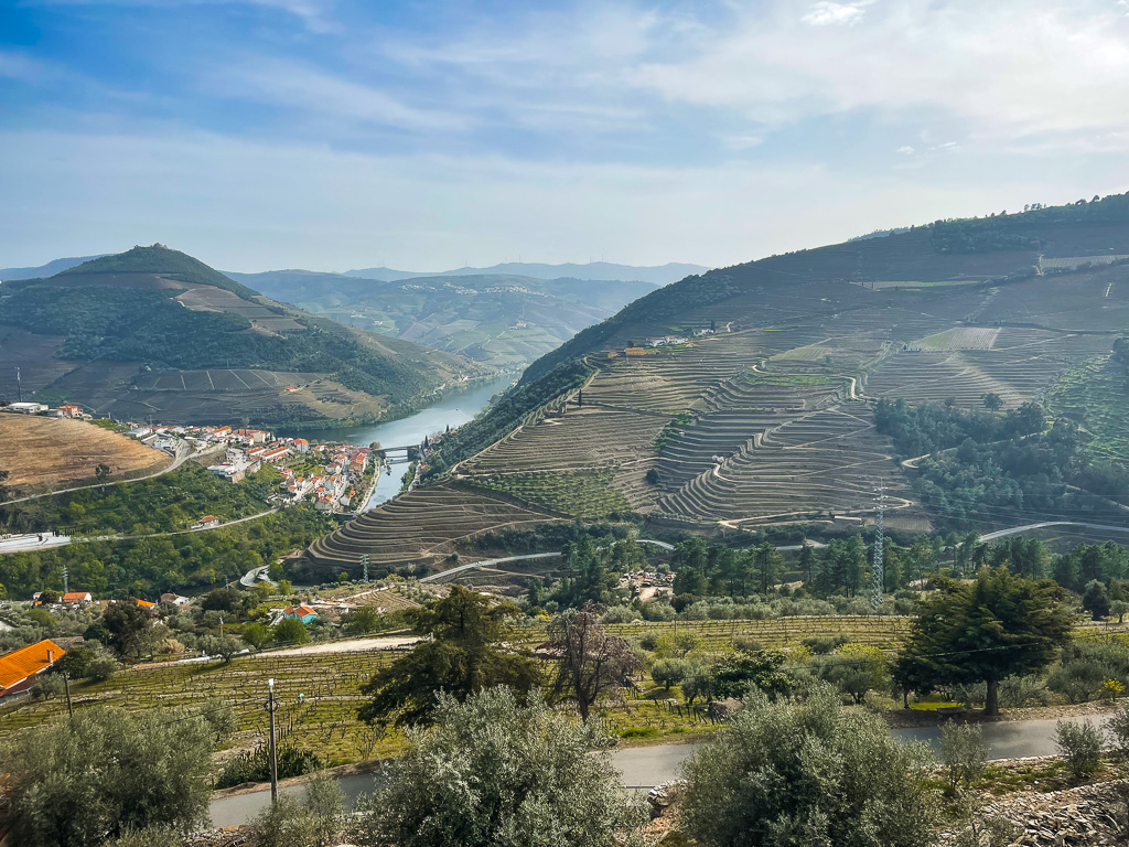 Vallée du Douro, Vignoble de la Rosa