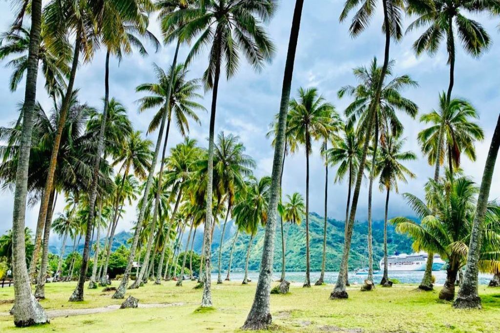 Parc à Moorea